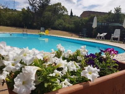 Civitella Cesi La Dimora Degli Etruschi旅舍 外观 照片